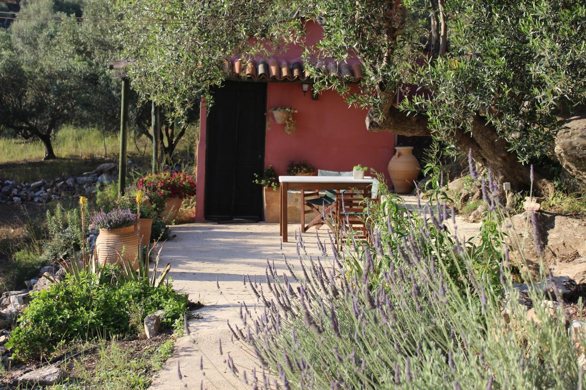Orgon Farm Traditional Houses Apostoli Εξωτερικό φωτογραφία